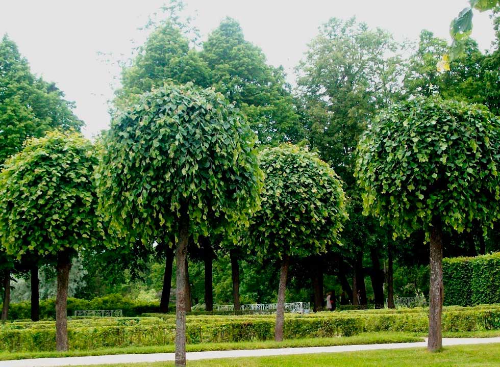 Как мы работаем